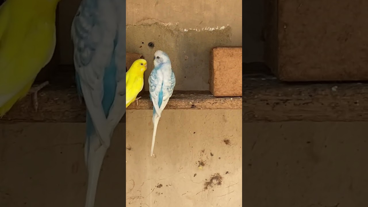 24 de fevereiro de 2026