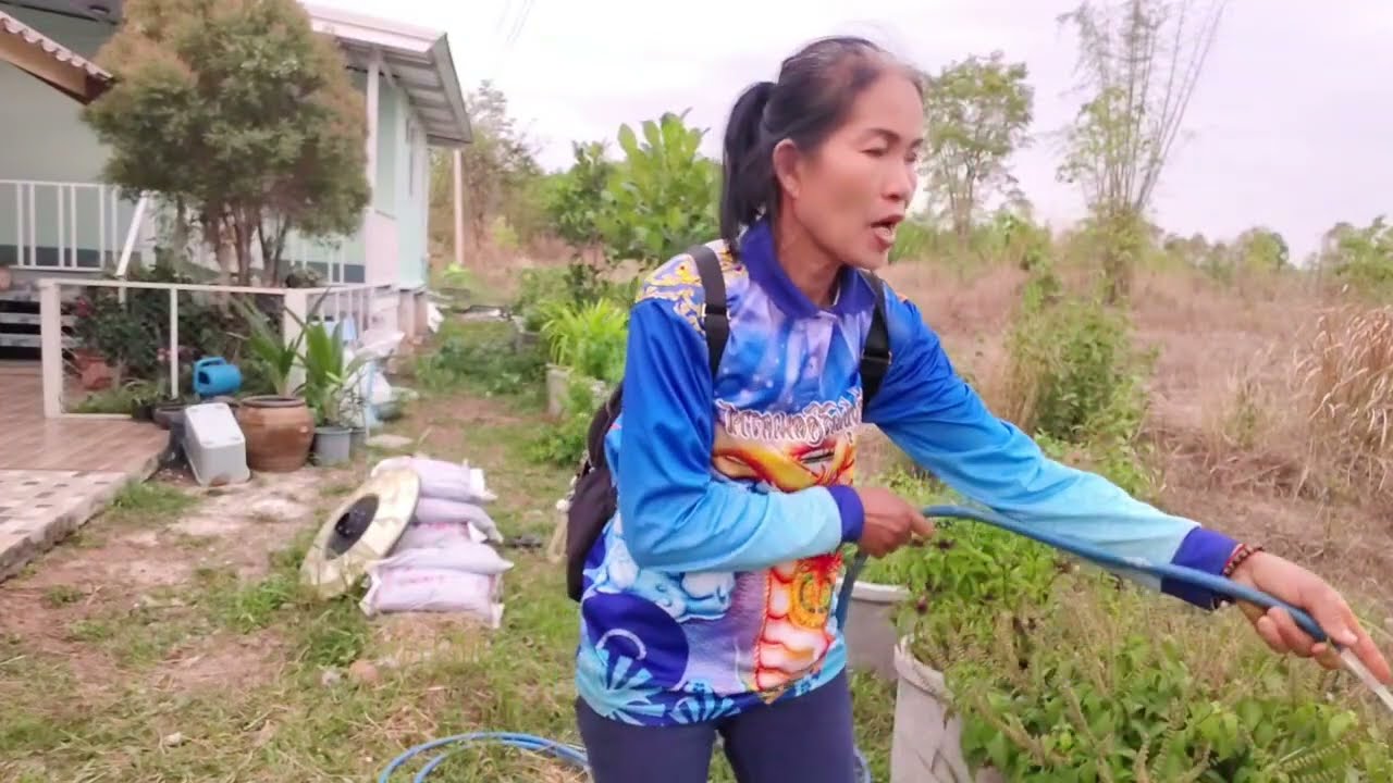 ดูแลเอาใจใส่ต้นไม้ให้ดีที่บ้านป้าอ้วน