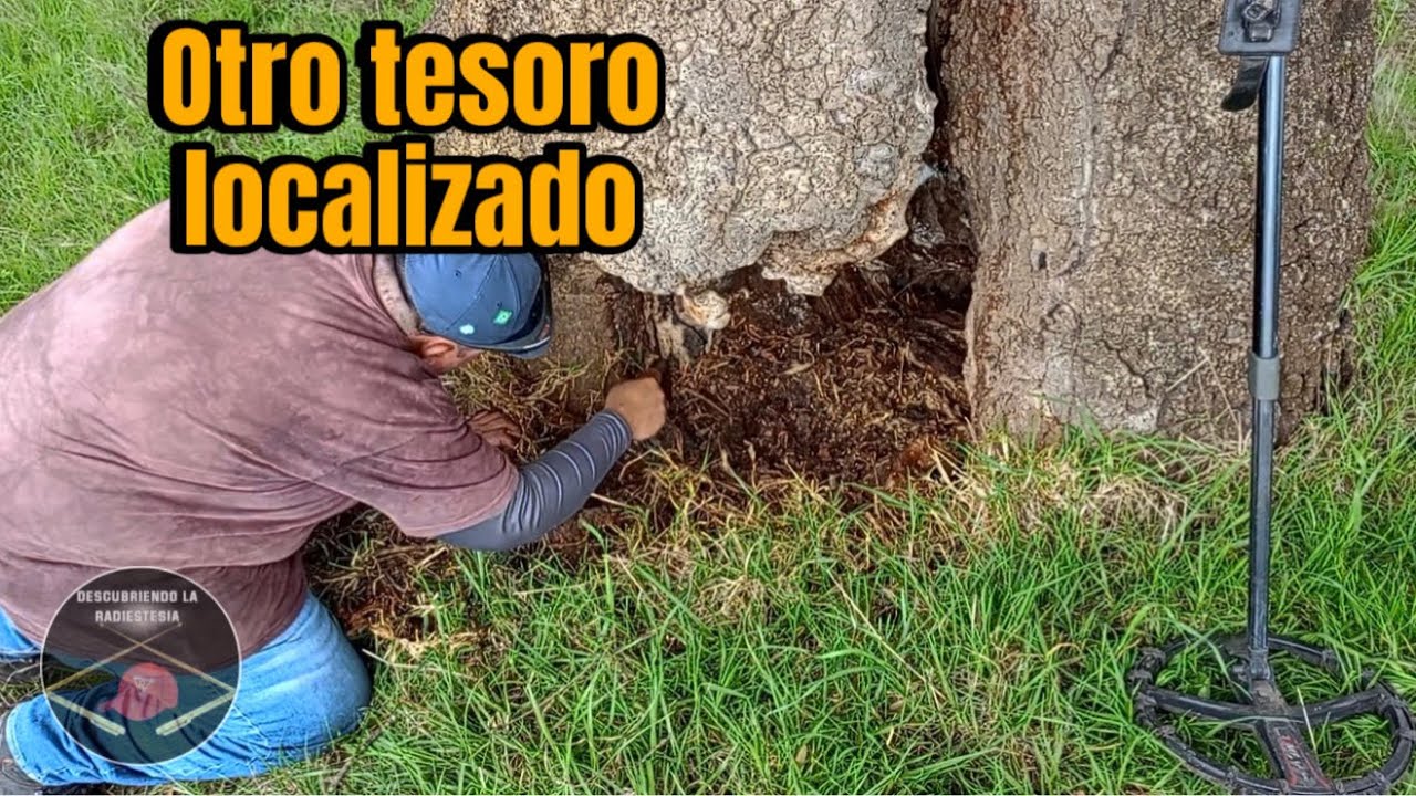 Otro tesoro localizado