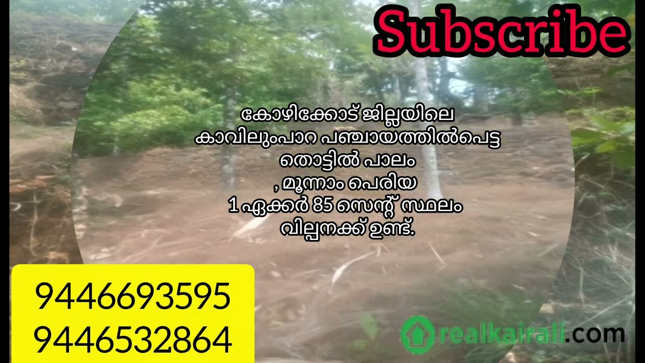 കോഴിക്കോട് തൊട്ടിൽപാലം സ്ഥലം വില്പനക്ക് 