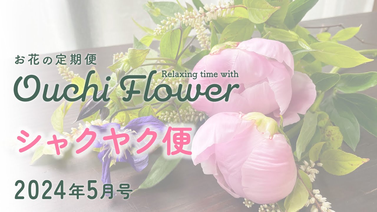 💐シャクヤク（芍薬）便💐お花の定期便5月号【おうちフラワー#91 】