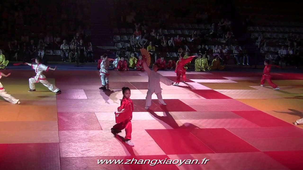 7e soirée des arts martiaux  2015