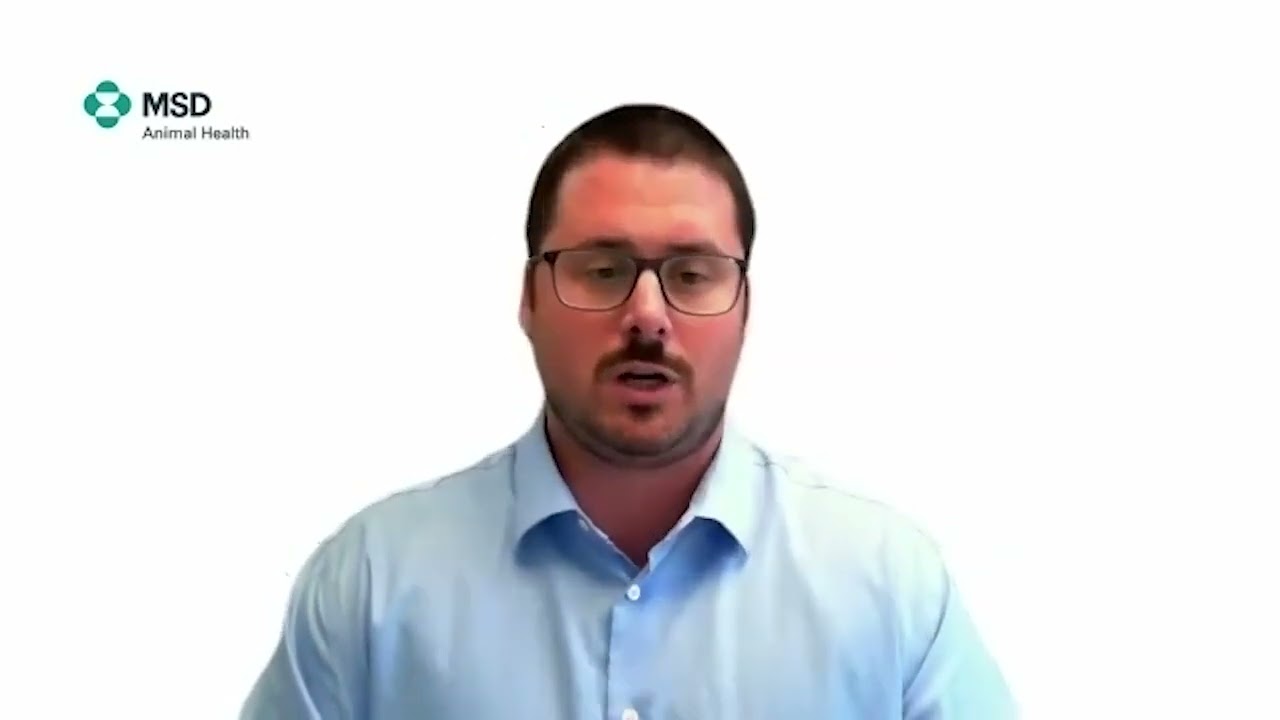 Global Competitiveness in Pork Production: A Benchmarking Analysis