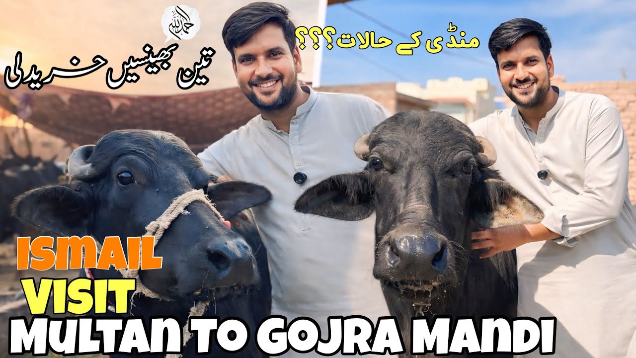 Ismail jutt Visit Multan to Gojra Mandi