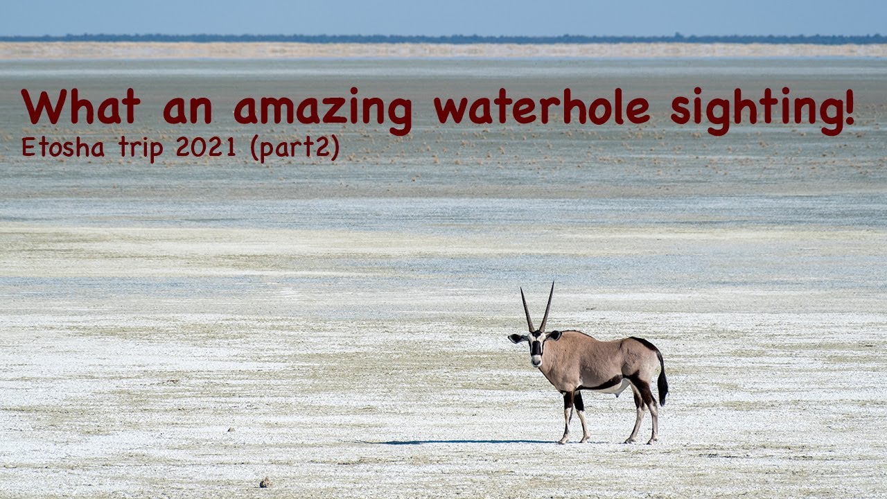 Etosha May2021 - Part2