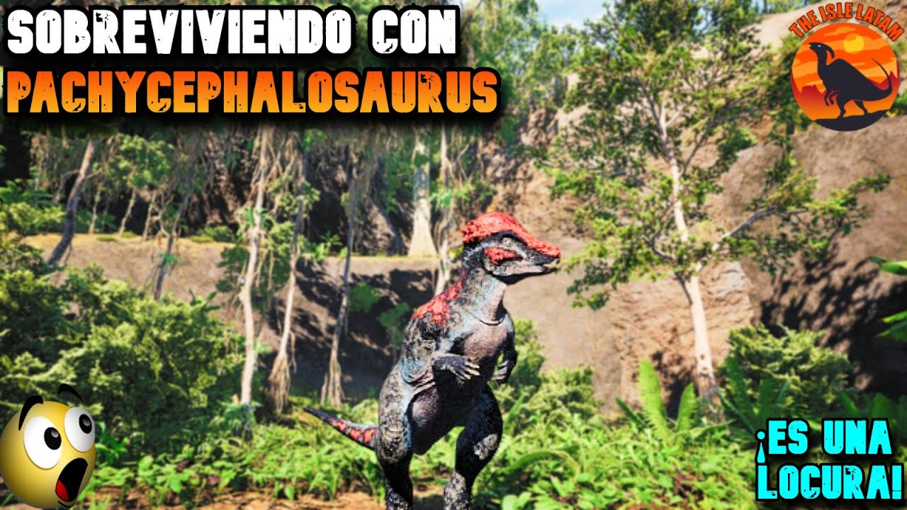 😱SER UN PACHYCEPHALOSAURUS EN THE ISLE ES MUY DIVERTIDO Y ATERRADOR ☠️ THE ISLE LATAM