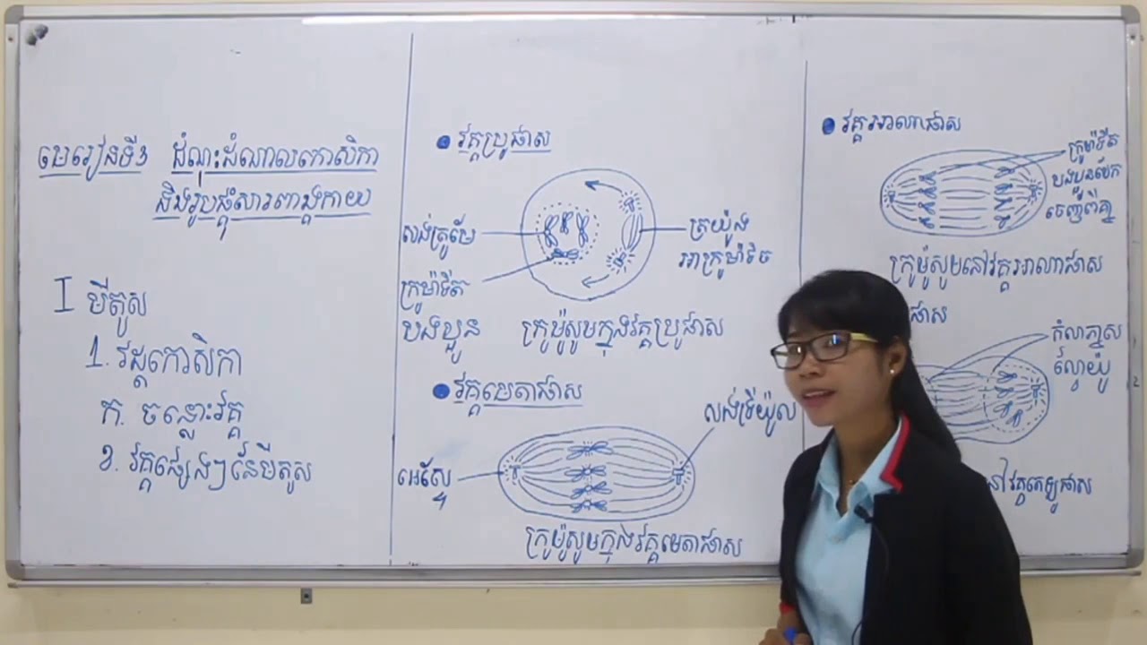 ជីវះវិទ្យាថ្នាក់ទី 11 ជំពូកទី ១ មេរៀនទី ៣ ( ត )