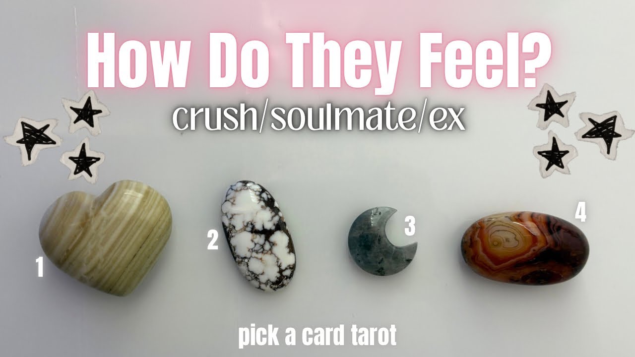 Pick a card🌥️How Do They Feel? (Timeless Love Tarot Reading)