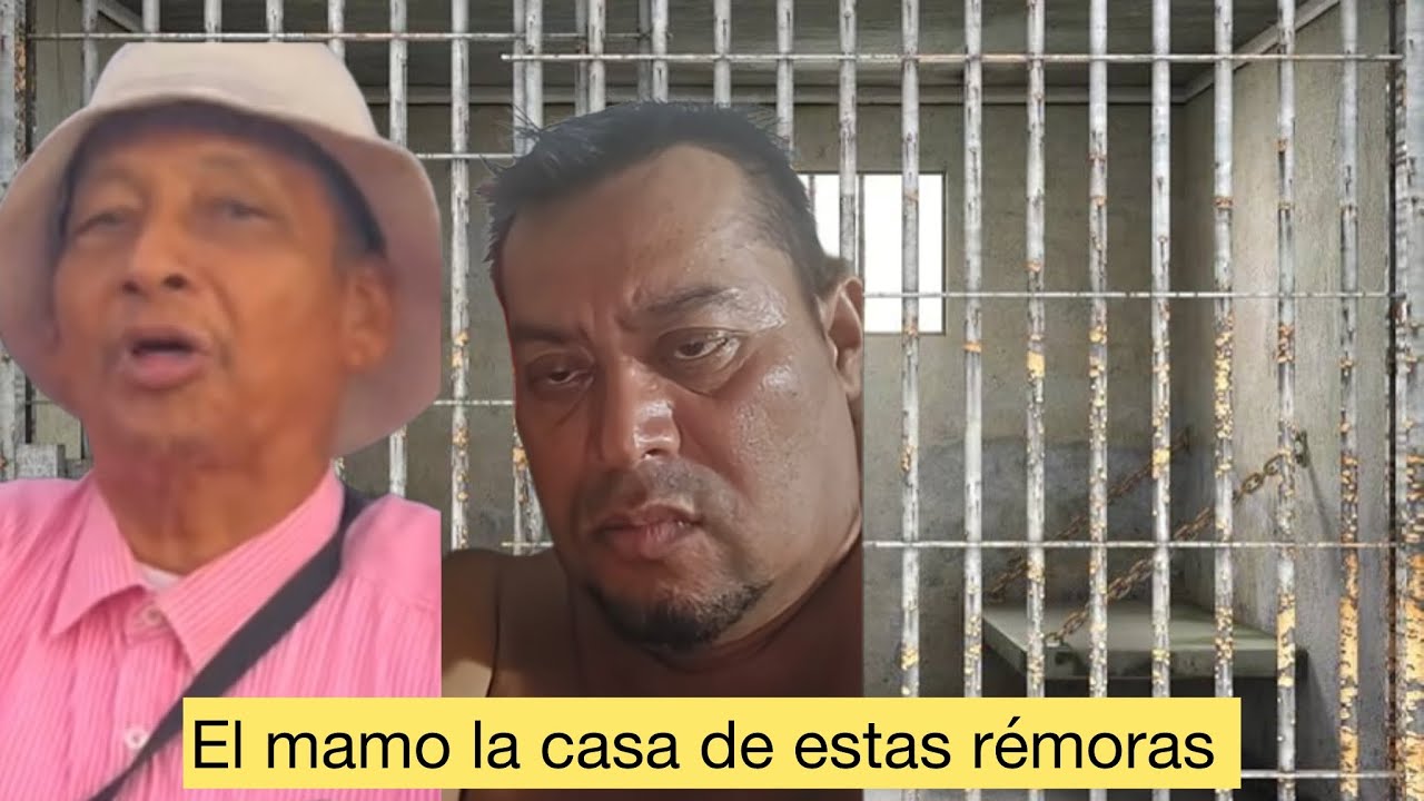 ‼️‼️ Bacano de la línea estaría en el mamo igual que Santiago Zúñiga 👈👈
