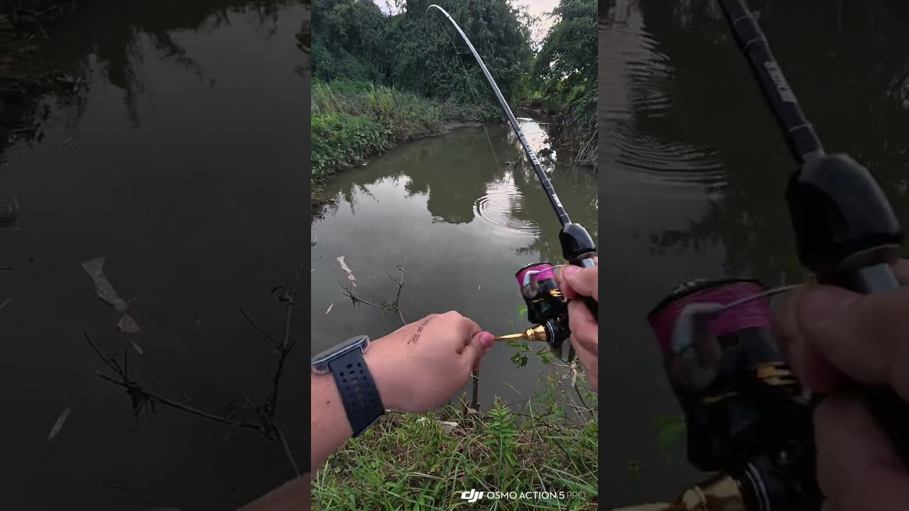 This is why I love UL fishing.