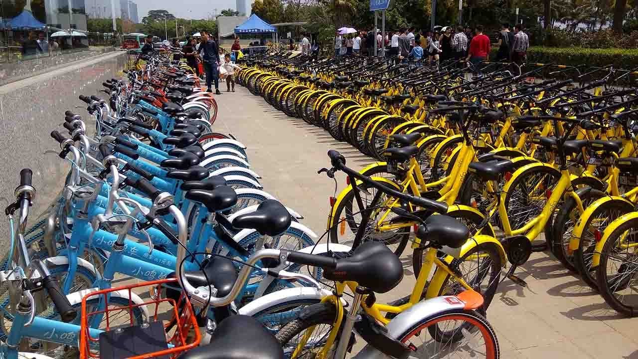 Bike-sharing industry booms in SE China’s Shenzhen