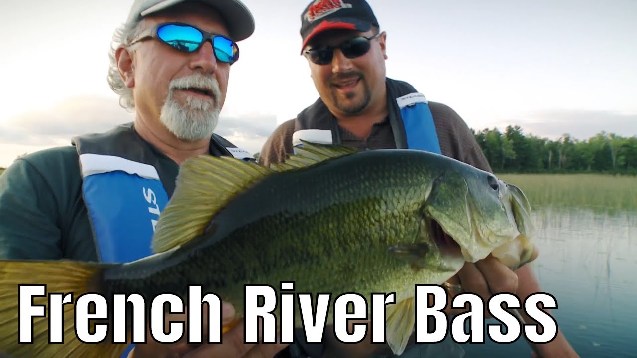 Largemouth and Smallmouth on the French River | Fish'n Canada