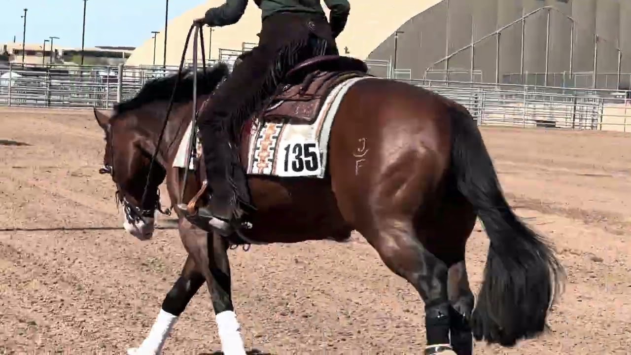 2026 Cactus Classic Slate 2 13&Under Champion Victoria McClure & Spook Messenger