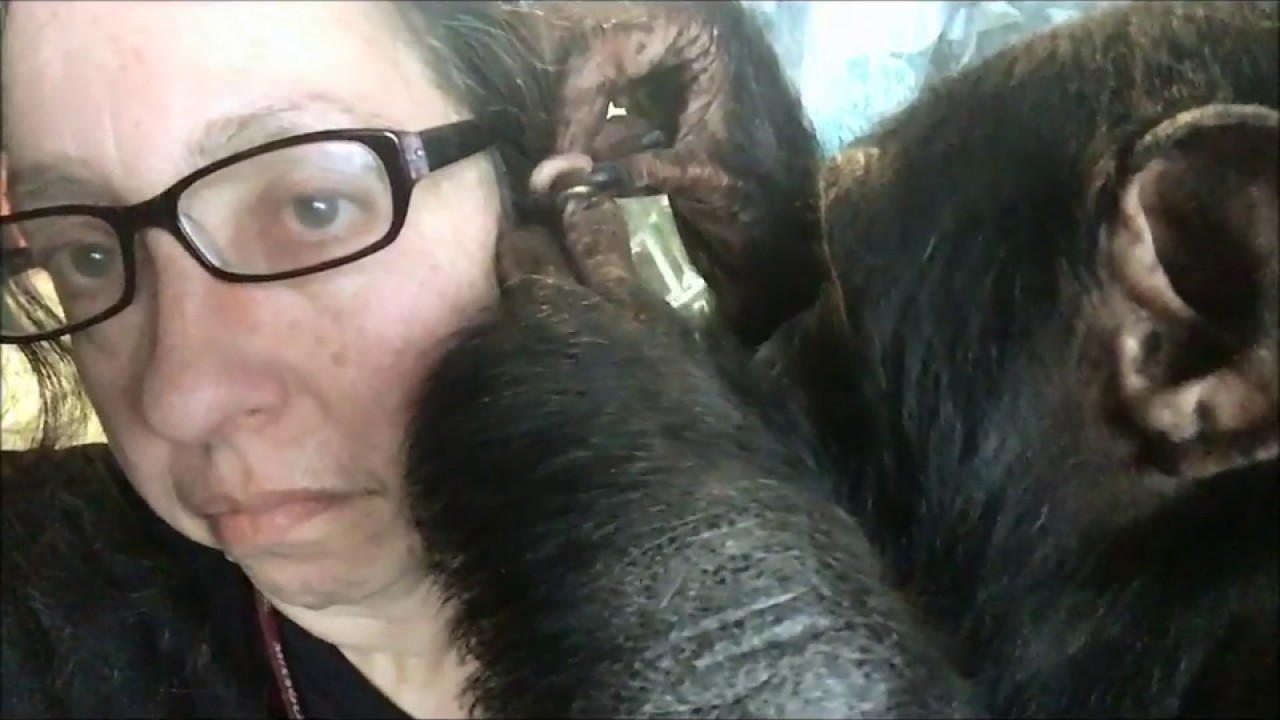 Bow Grooms My Ear and Hand