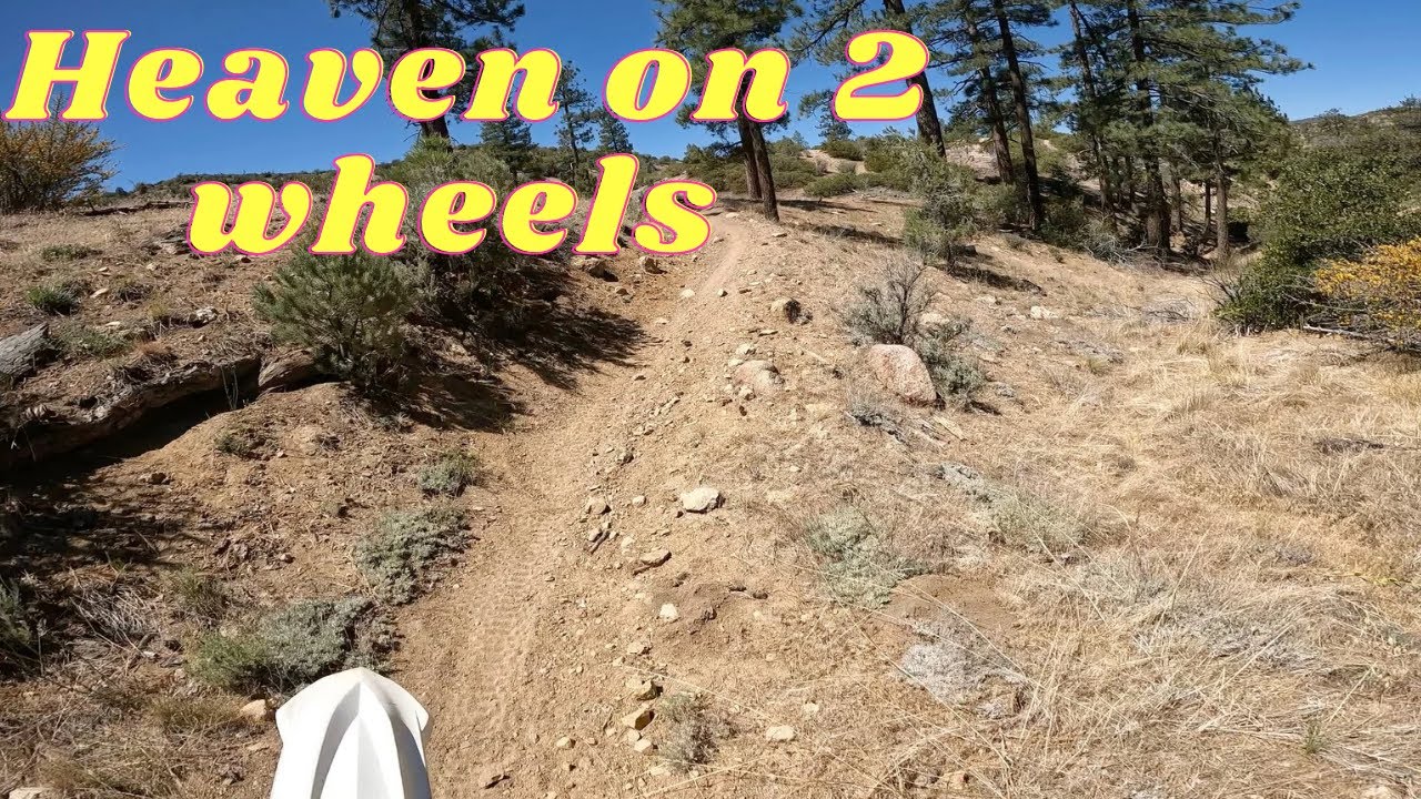 Best fun on 2 wheels. Nature, views,🦌 and friends