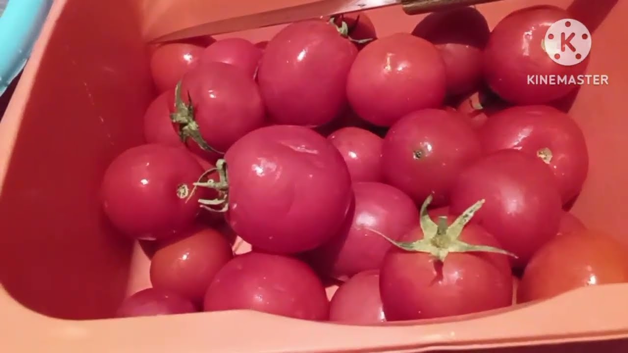 طريقة  حلوة ومضمونه👍🌹