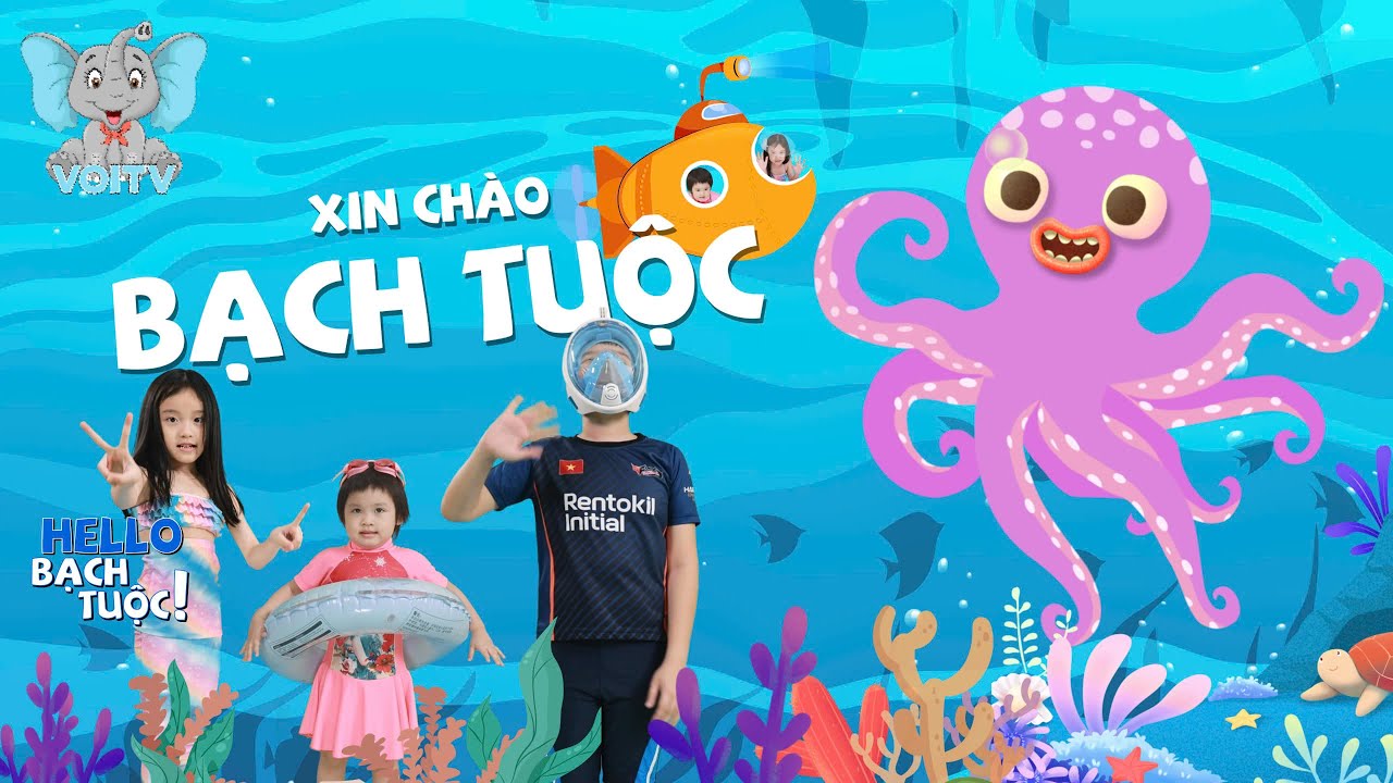 XIN CH&Agrave;O BẠCH TUỘC | B&Eacute; HỌC ĐẾM | NHẠC THIẾU NHI HAY | VUI HỌC C&Ugrave;NG VOI TV