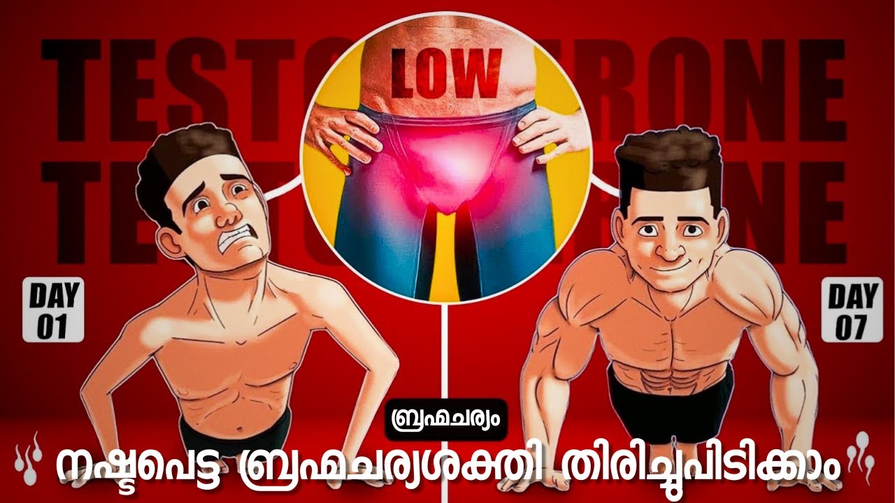 How To Boost Testosterone Naturally In Men | Unlock Your Brahmcharya Power Mayalam