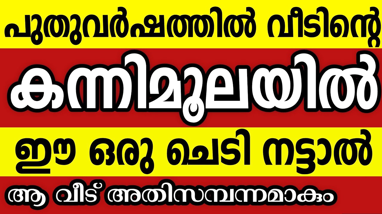 പുതുവർഷത്തിൽ വീടിന്റെ കന്നിമൂലയിൽ നട്ടാൽ ഗുണഫലങ്ങൾ നൽകുന്ന ചെടികൾ Vastu tips malayalam