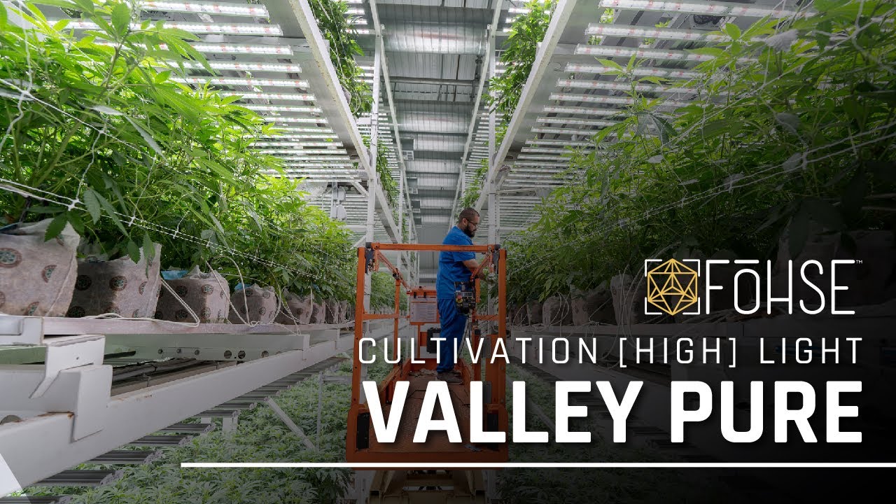 Valley Pure |  Vertical Cannabis Farming | Cultivation Highlight