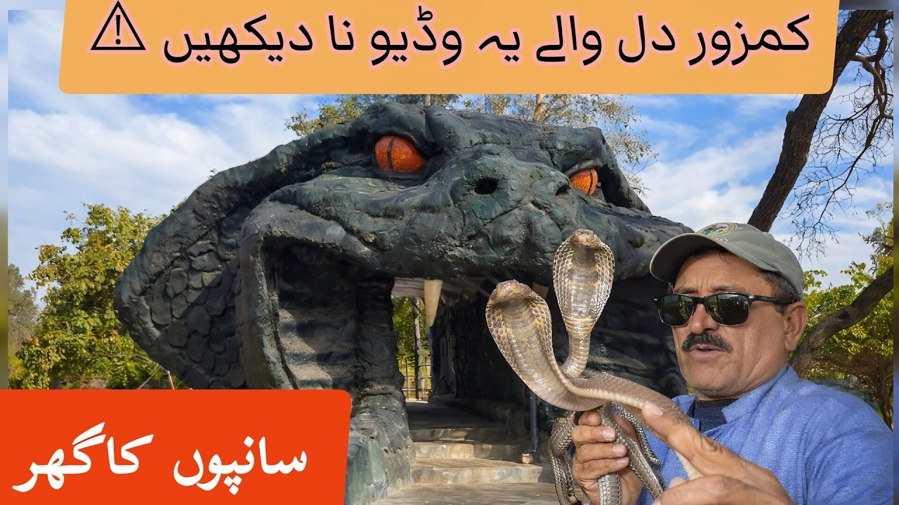 Dangerous Snake House Of Pakistan | Face To Face With Cobra and Python 😱| Ayub Park Rawalpindi