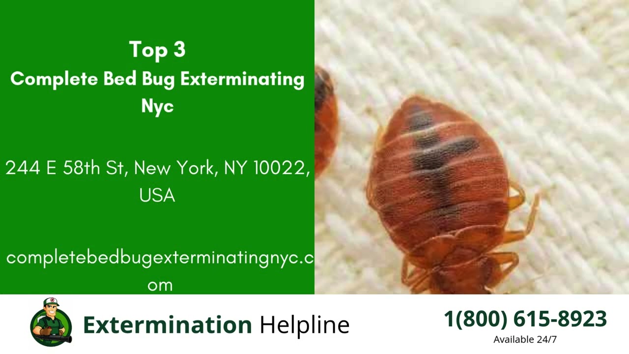 Top 3 Exterminators in Pleasant