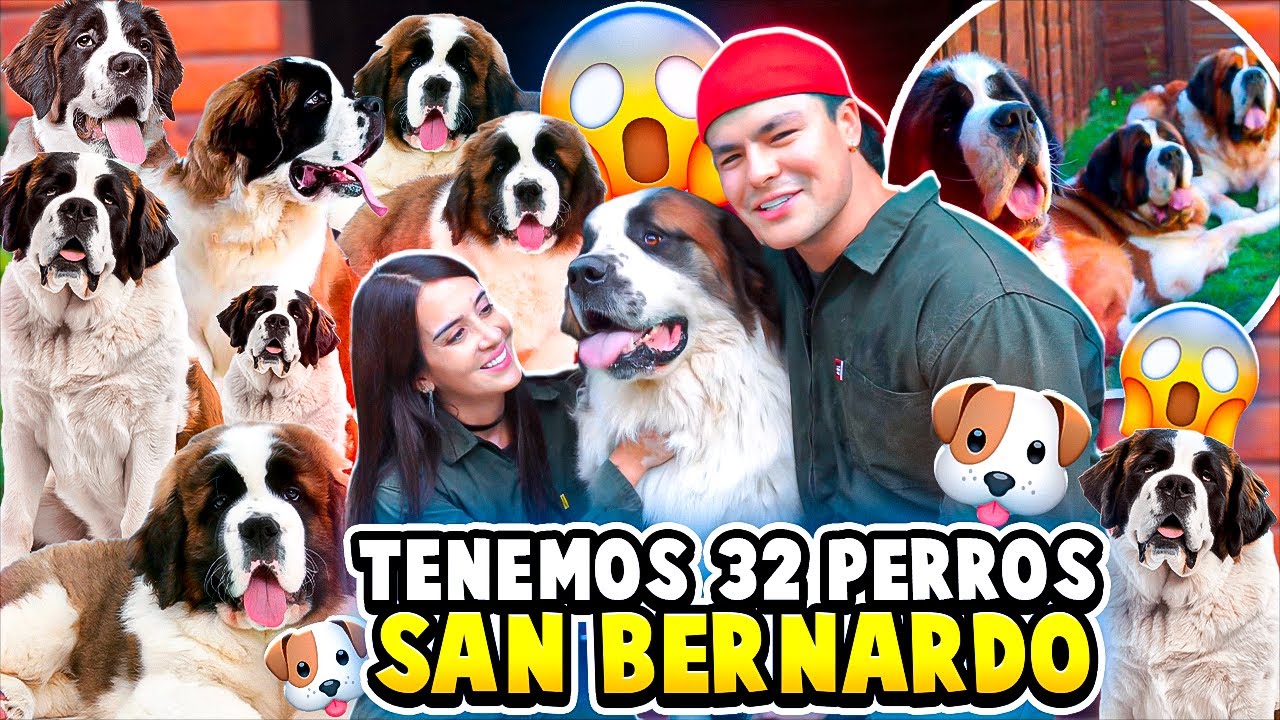 Conozcan a nuestros 32 PERROS🐶😱 Carlos Feria & AdrilatinaTv