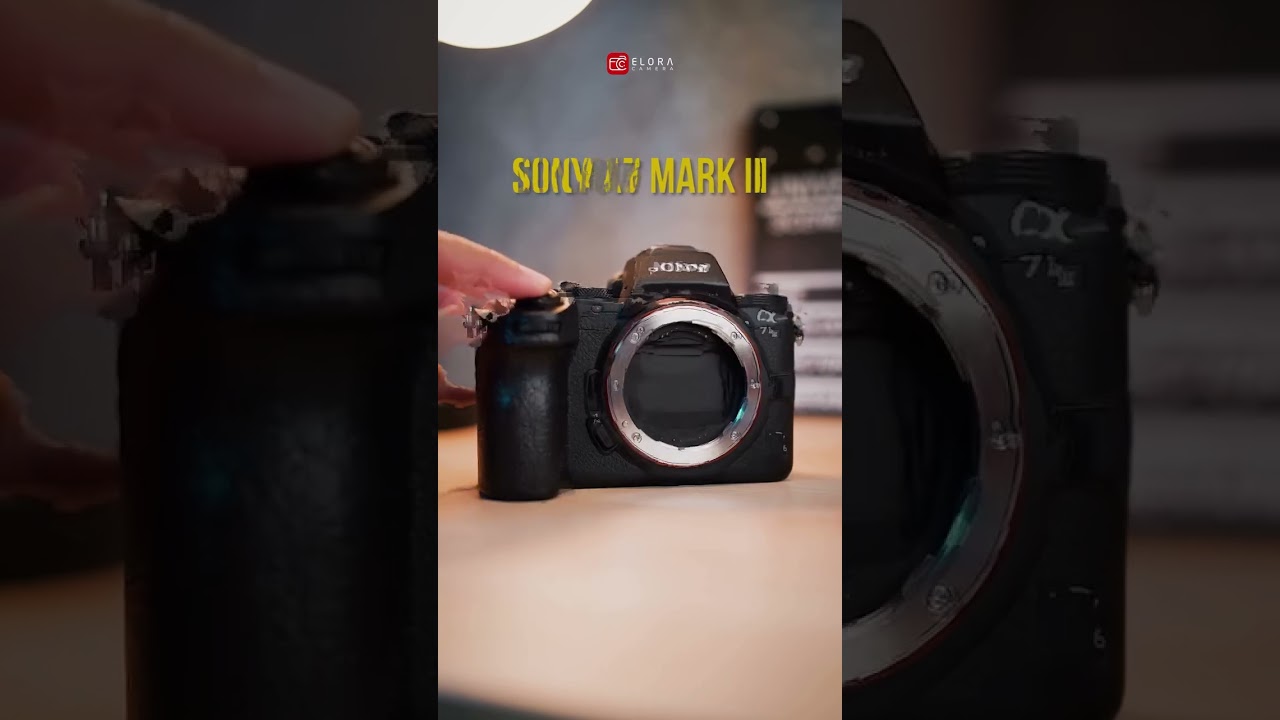NIKON Z6 MARK II SHUTTER SPEED #shorts