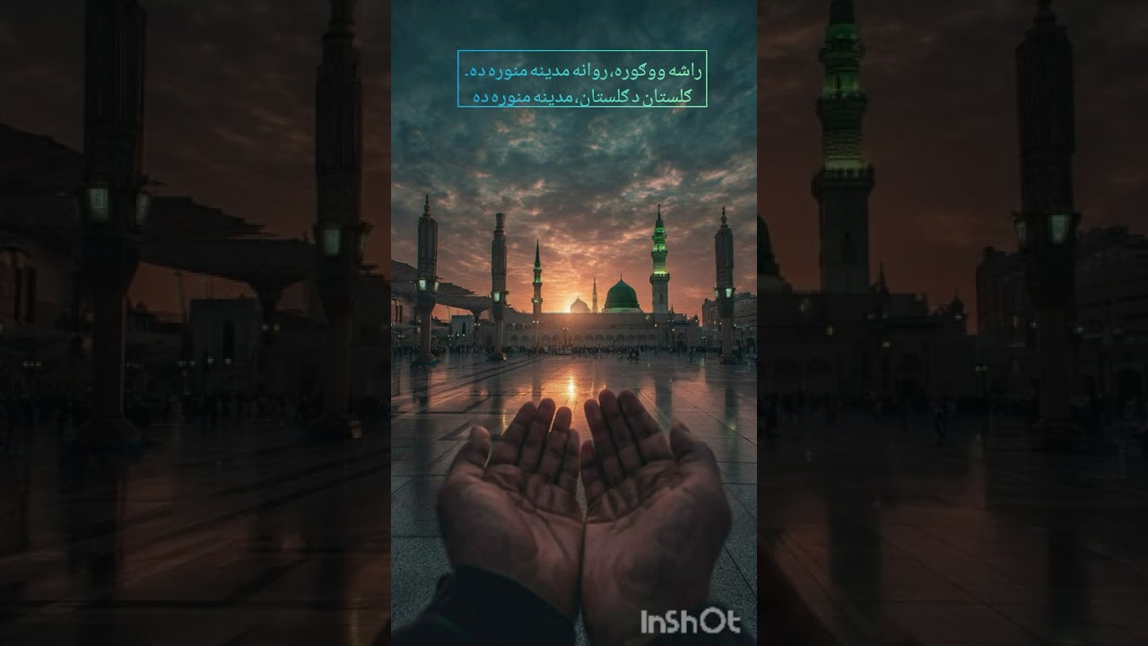 راشه ووګوره، روانه مدینه منوره ده۔ ګلستان د ګلستان، مدینه منوره ده