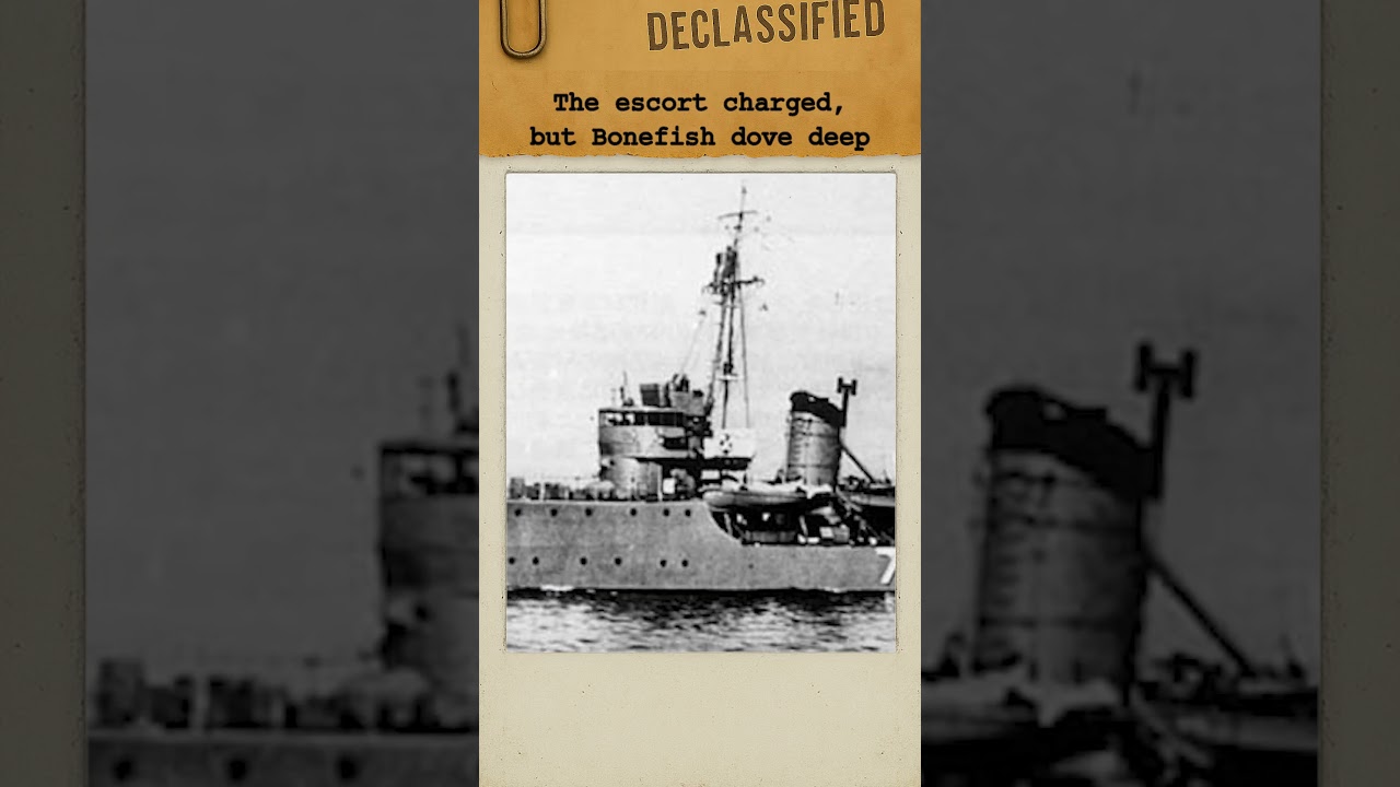 The Submarine That Sparked a Massacre, USS Bonefish | #ww2 #history #shorts #fyp