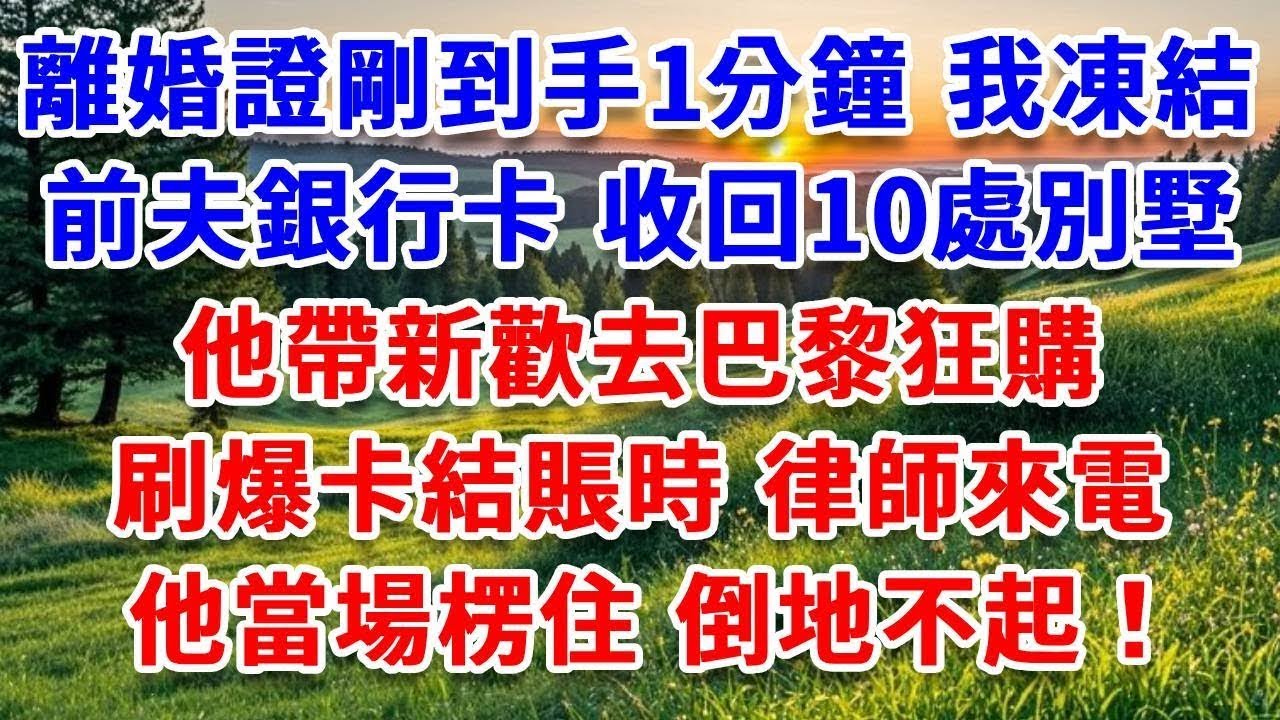 離婚證剛到手1分鐘，我凍結前夫銀行卡，收回10處別墅。他帶新歡去巴黎狂購，刷爆卡結賬時，律師來電，他當場楞住，倒地不起！#詩涵講故事#為人處世#生活經驗#情感故事#晚年哲理#說故事#完結文#原創故