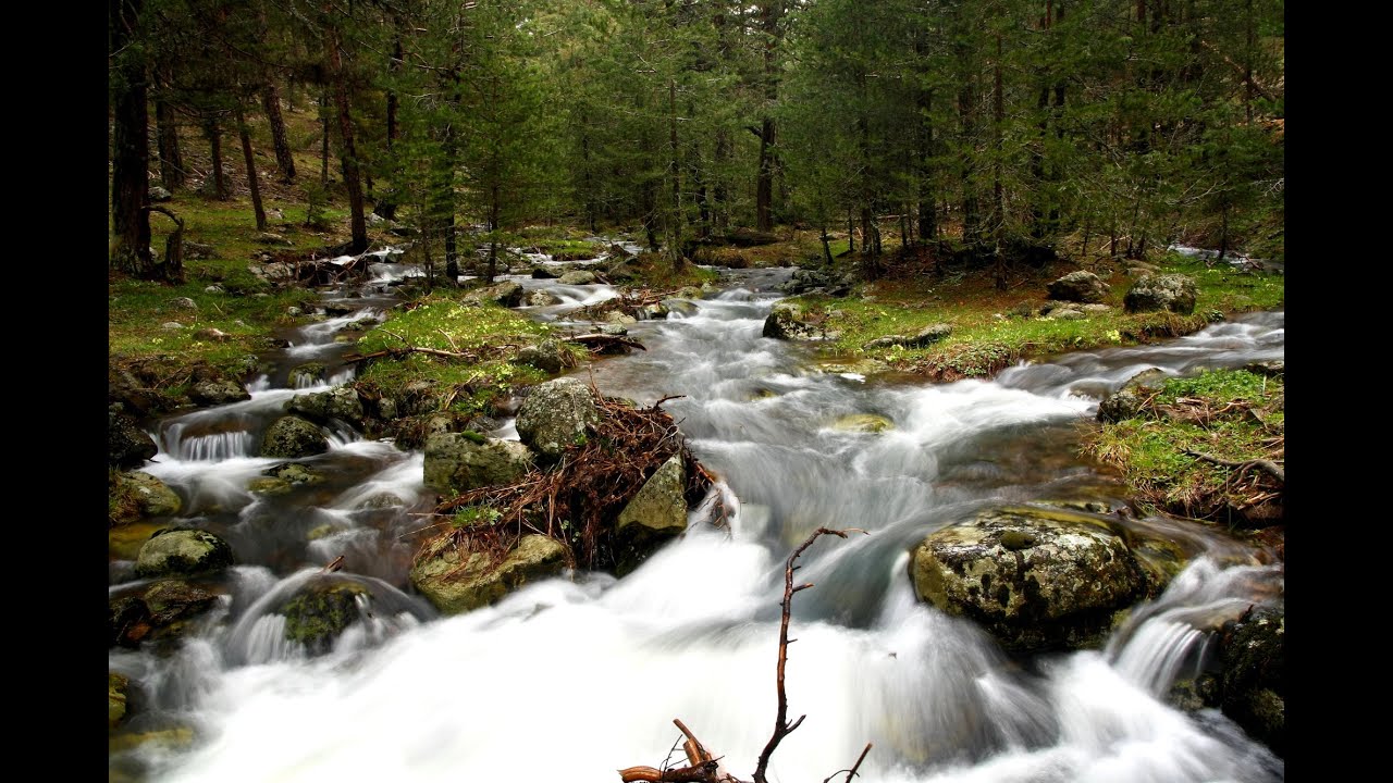 Haccağız Yaylası - Bolu  Mayıs 2009