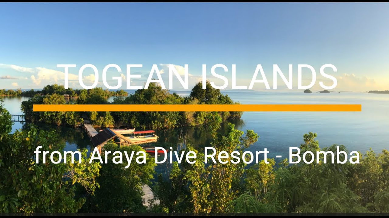 Diving Togean Islands - Bomba from Araya dive resort