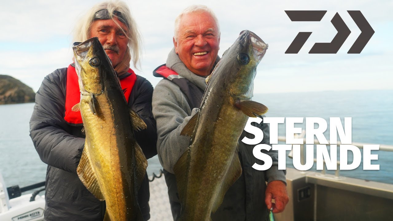 DAIWA: JEDER WURF EIN TREFFER – POLLACK & HEILBUTT in NORWEGEN mit HORST HENNINGS & JÖRG OVENS