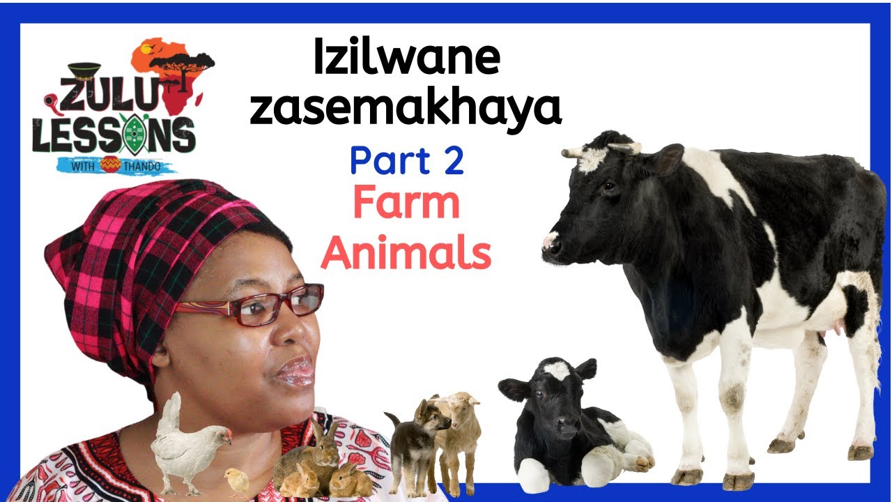 Farm Animals ngesiZulu | Zulu Vocabulary | How to speak isiZulu | Beginner Zulu Lessons