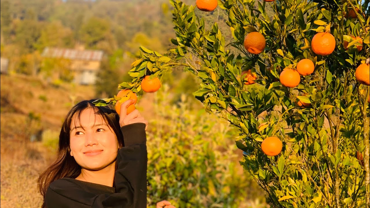 Kati ramro Suntala baari🍊🍊🍊