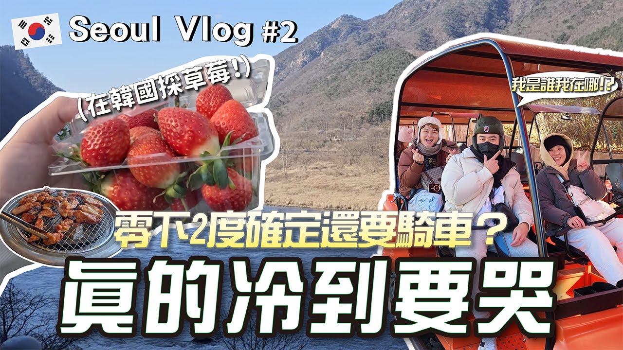 🇰🇷在韓國採草莓🍓零下2度超冷還是要騎鐵道自行車！南怡島旁吃鐵板烤雞好讚 超舒適包車一日遊上集【首爾自由行#2】｜很閒是不是