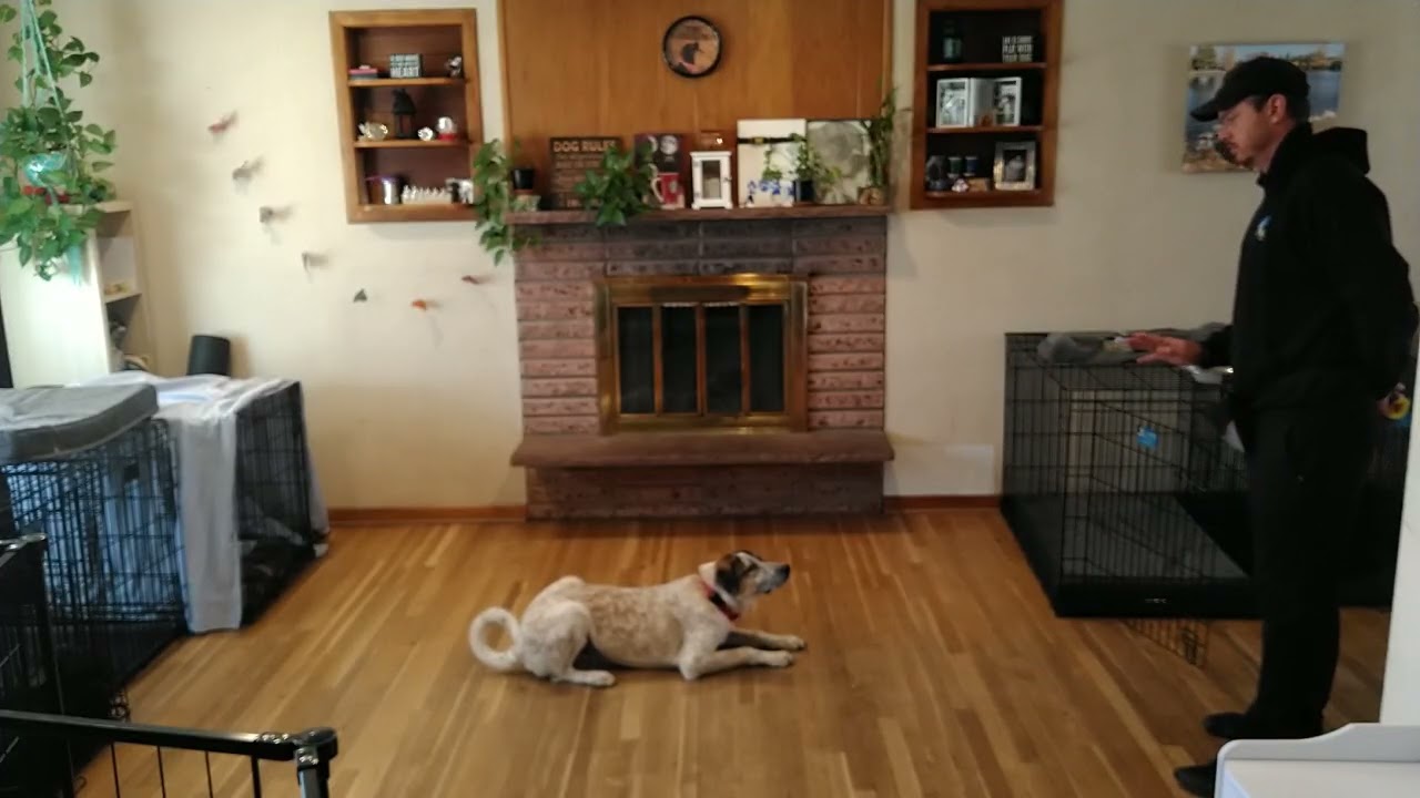 Mable skills
