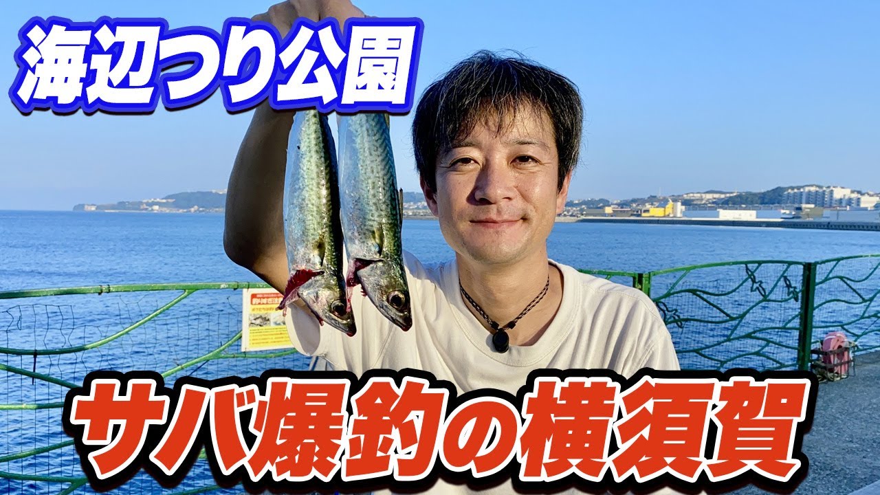 【横須賀海辺つり公園】サビキ釣りでサバが爆釣！ハゼの泳がせ釣りで太刀魚も釣れた