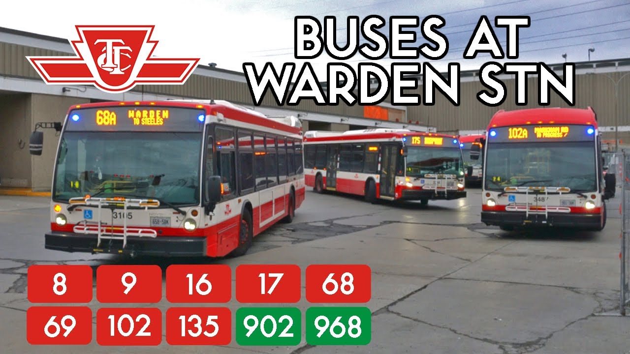 TTC Buses at Warden Station