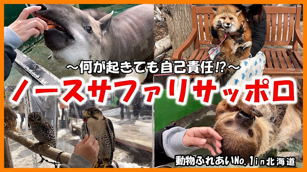 【ノースサファリサッポロ】動物ふれあいNo 1in北海道～何が起きても自己責任⁉～
