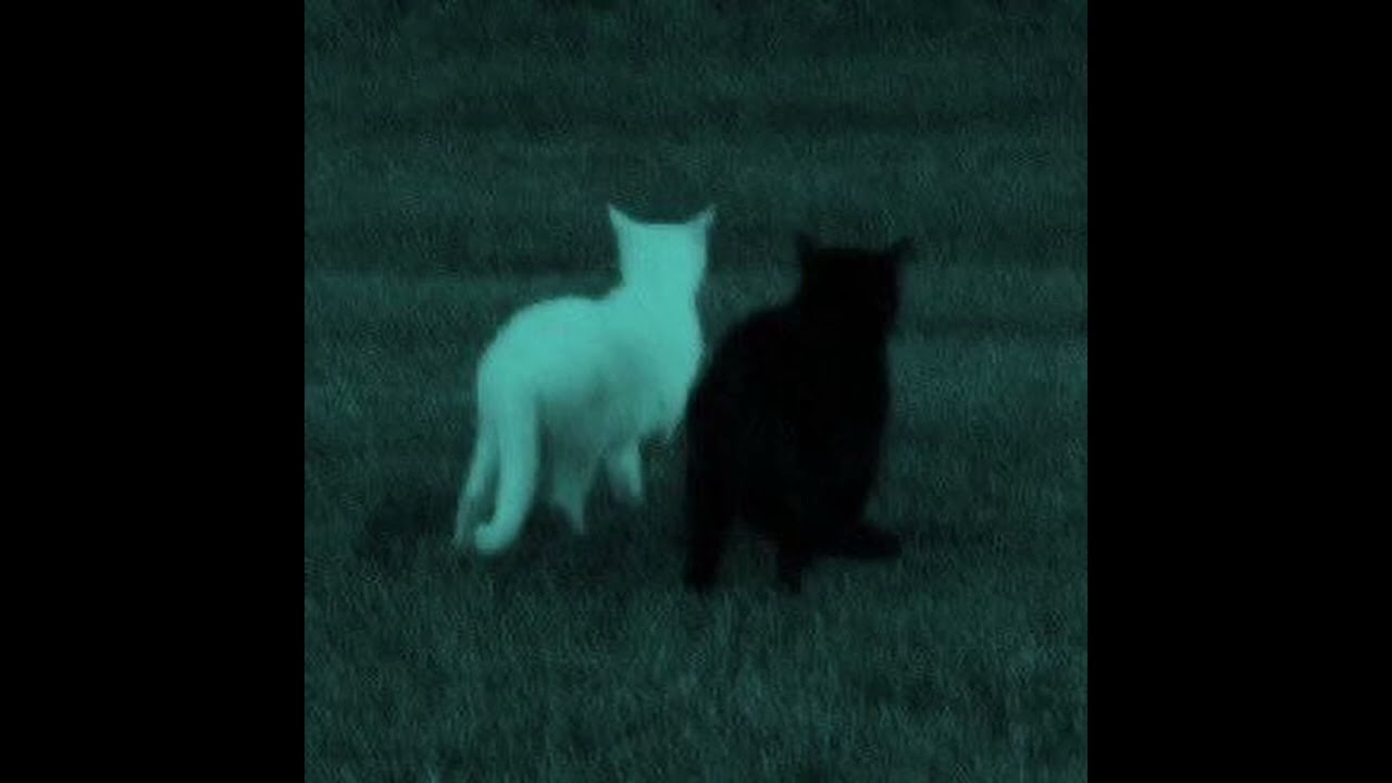 (free) slowcore type beat | 
