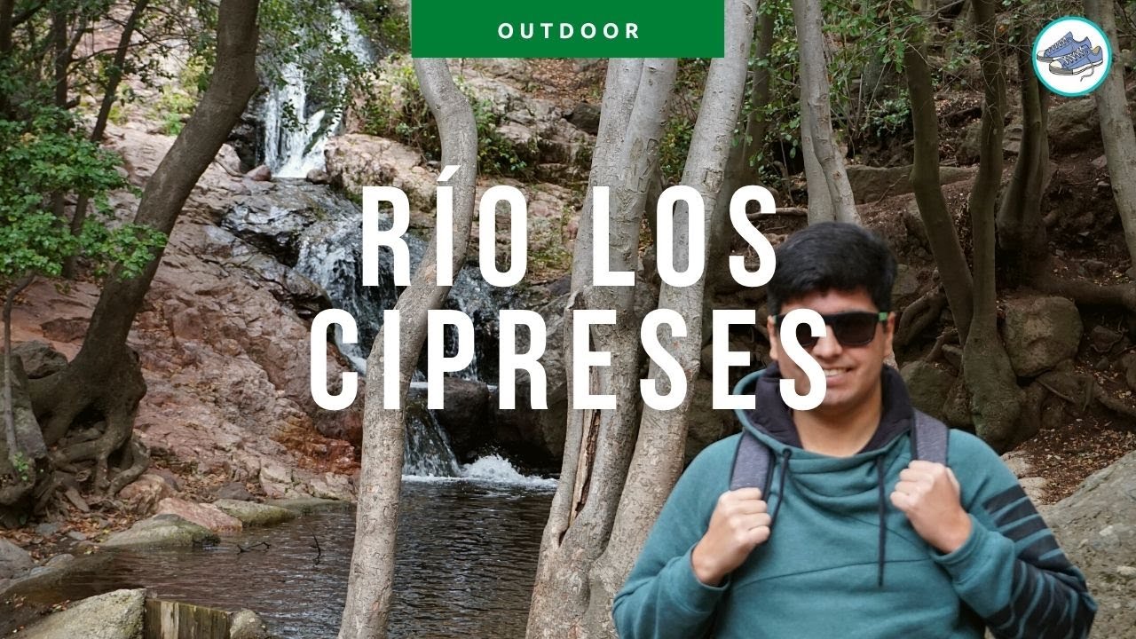 🌲Reserva RÍO LOS CIPRESES: En busca del Loro Tricahue 🐤
