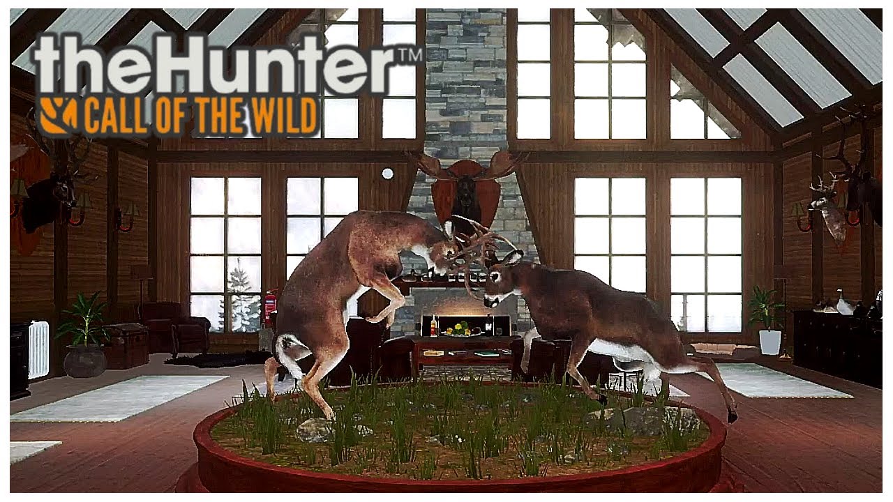 Is This a World Record??