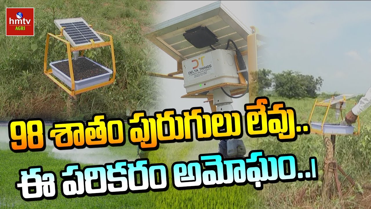98 శాతం పురుగులు లేవు..ఈ పరికరం అమోఘం..| Solar Insect Light Trap | hmtv Agri