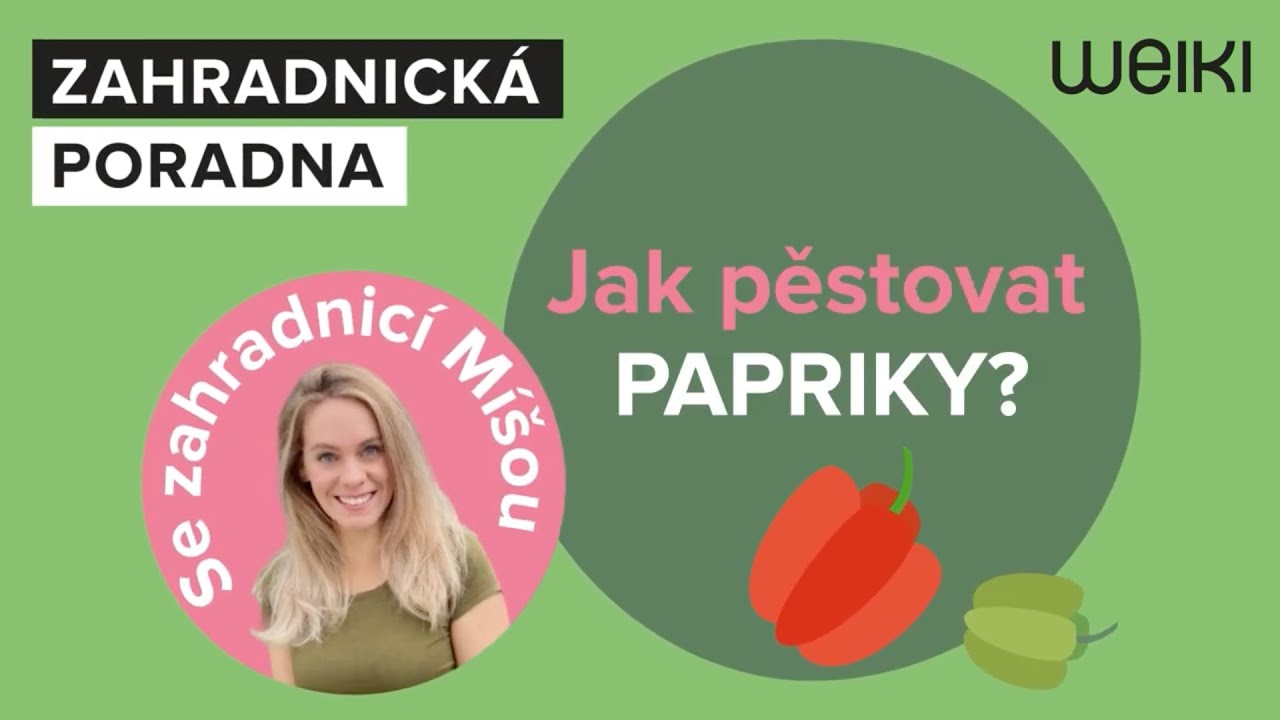 Jak zasadit a pěstovat papriky? To vám řekne zahradnice Míša Brabcová