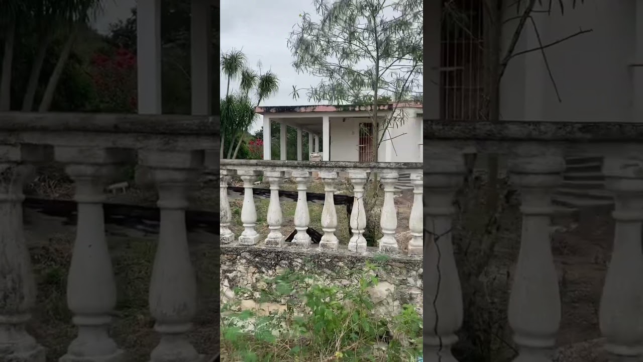 🔴VENTA Terreno M&eacute;rida 4098 m2 🇲🇽🏡 #bienesraices #mexico #realestate #merida #yucat&aacute;n