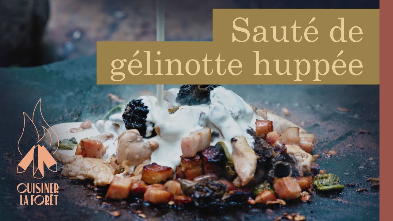 Sauté de gélinotte huppée | Cuisiner la forêt