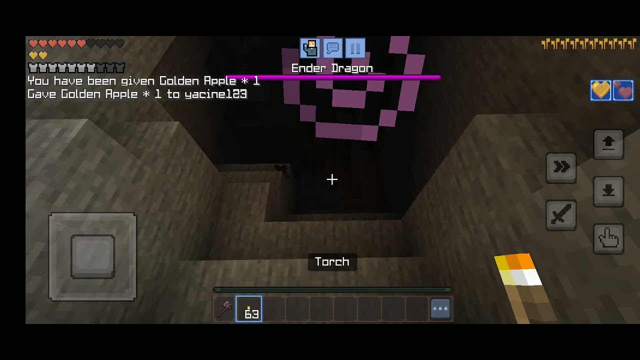 Surviving Minecraft