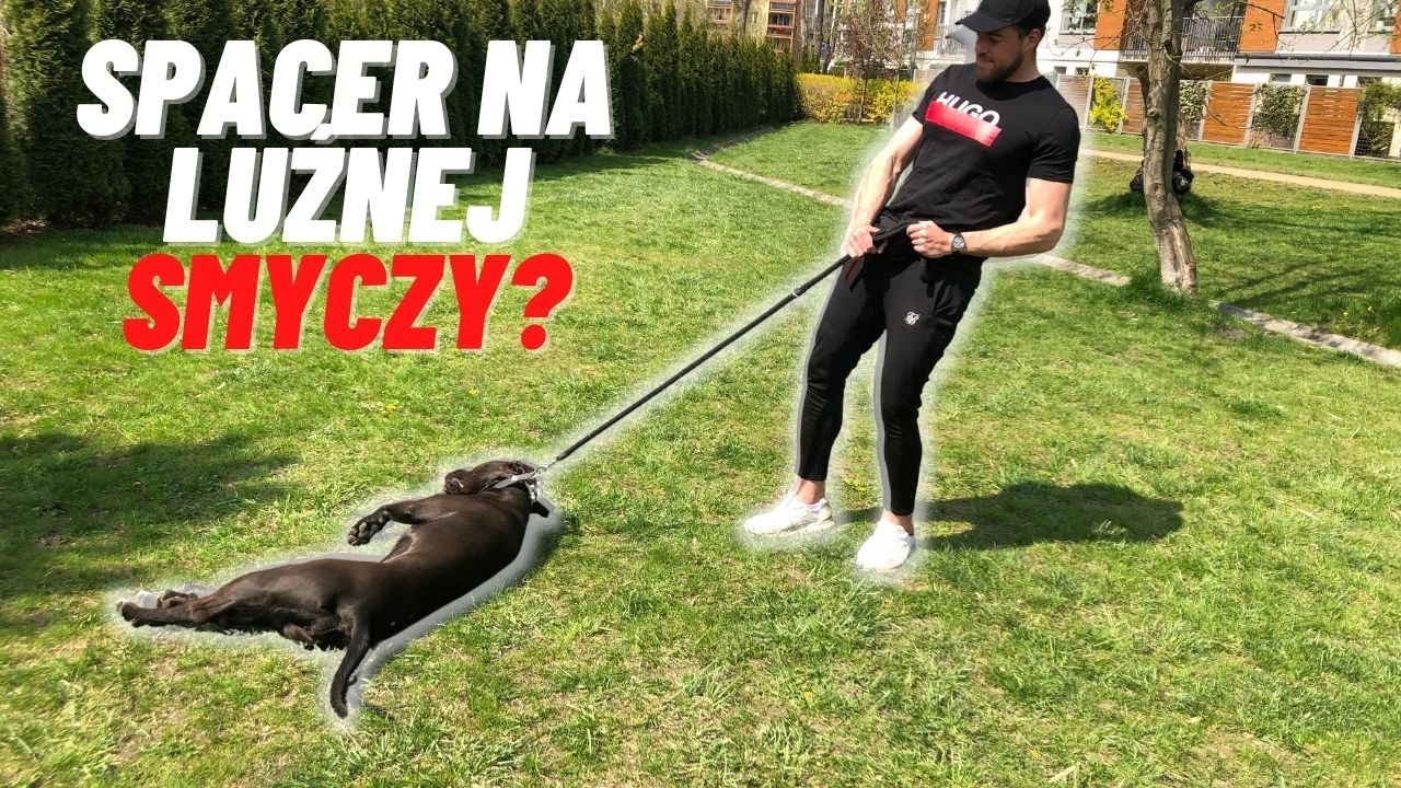 Spacer na LUŹNEJ smyczy? Tego BŁĘDU NIE POPEŁNIAJ!